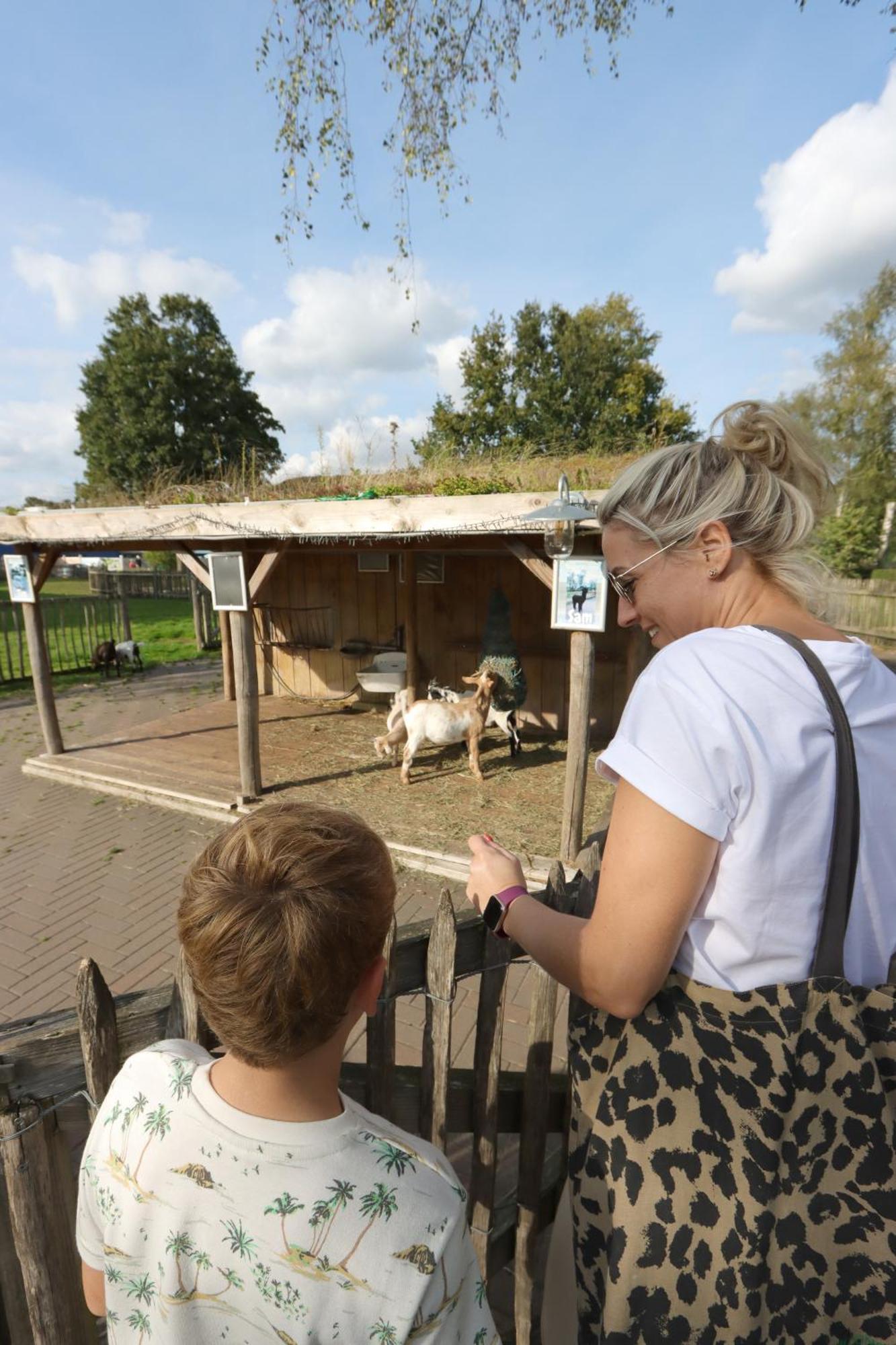 בידינגהאוזן Wellness Chalet Veluwemeer מראה חיצוני תמונה